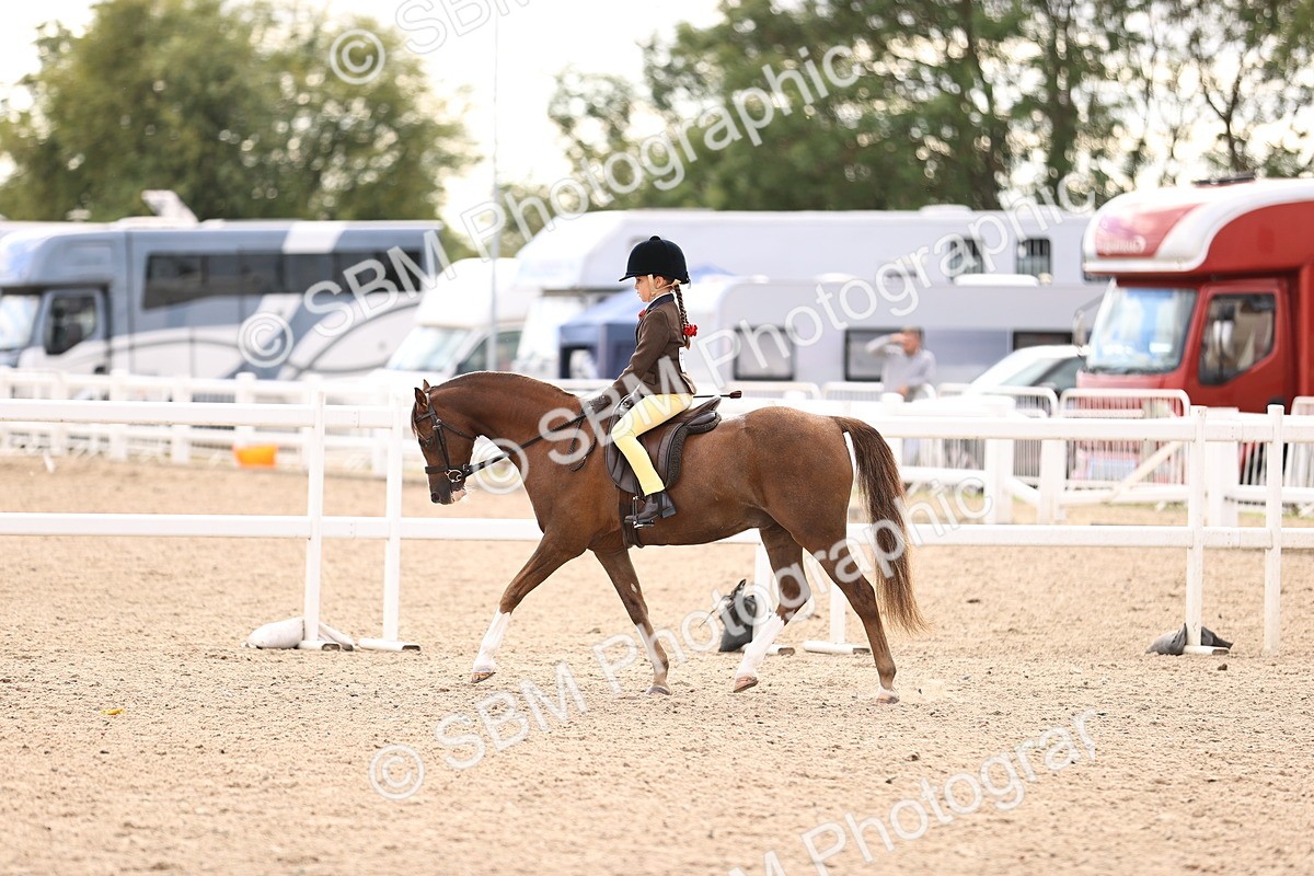 SBM_18058 - Class 422 - Equitation (Best Rider) Jnr