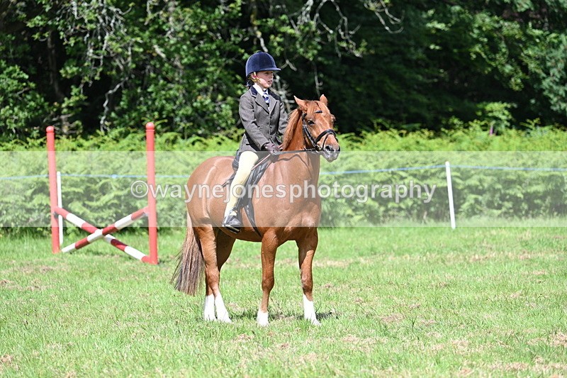 WJ7_1749 - Class 9 Pony Club Pony