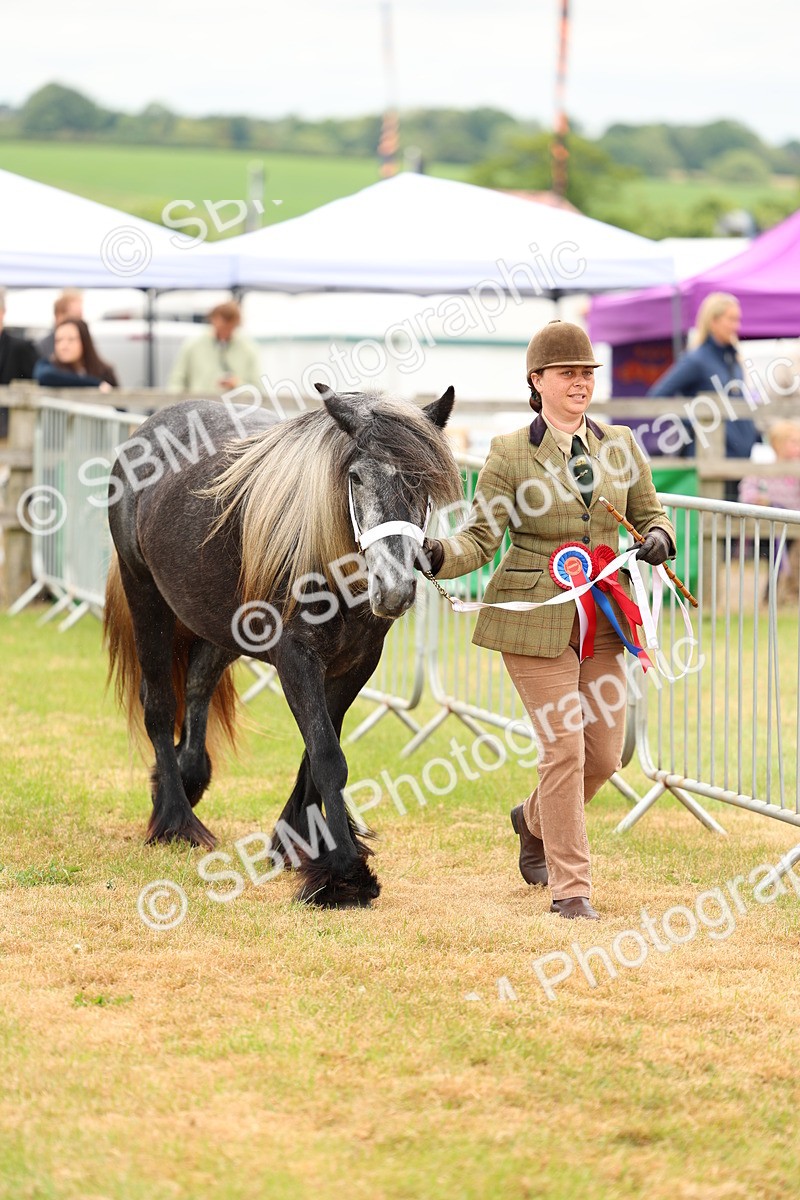 SBM_03554 - Class 58-67 - M&M Non Welsh Pony In hand