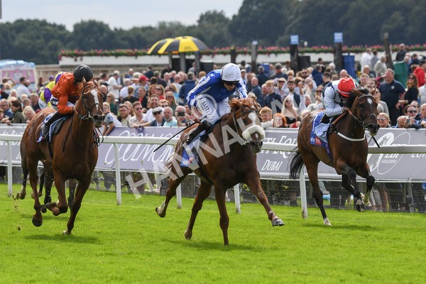 250823-Race 1-Marhaba The Champ-0125 - Race 1 1.50pm Sky Bet Handicap