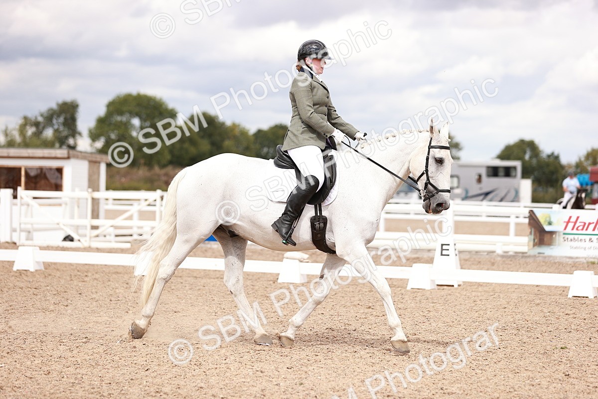 SBM_06295 - Class 37 - Novice 5