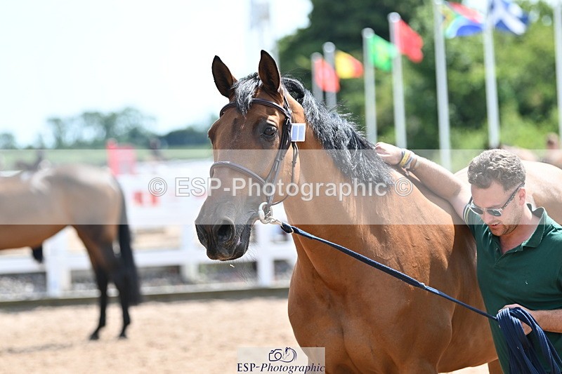 240717A-150108-02452 - Trot Up 3pm to 4pm