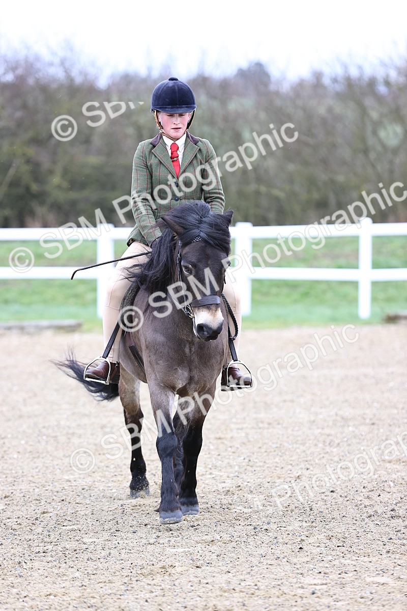 SBM_006826 - Class 29 - 30 - M&M Pure Novice Small-Large Breeds