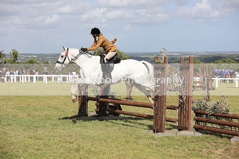 JPP_2494 - Class 20: Working Hunter 70cm