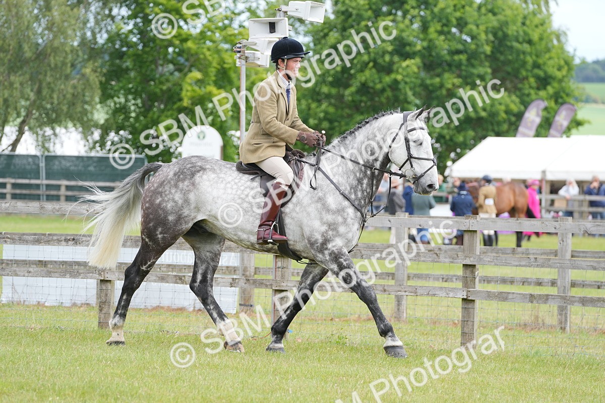 SBM_14870 - Class 100-102 - RIHS Working Hunter