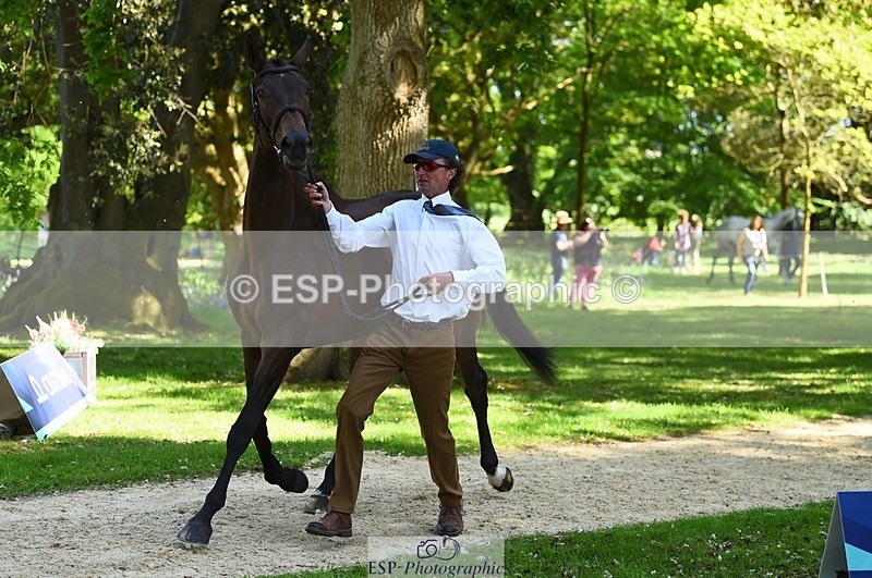 230524-153538-00378 - 361-FINCH_FANCY-Ben_Lee_Liles-WEDTrotUp+DR