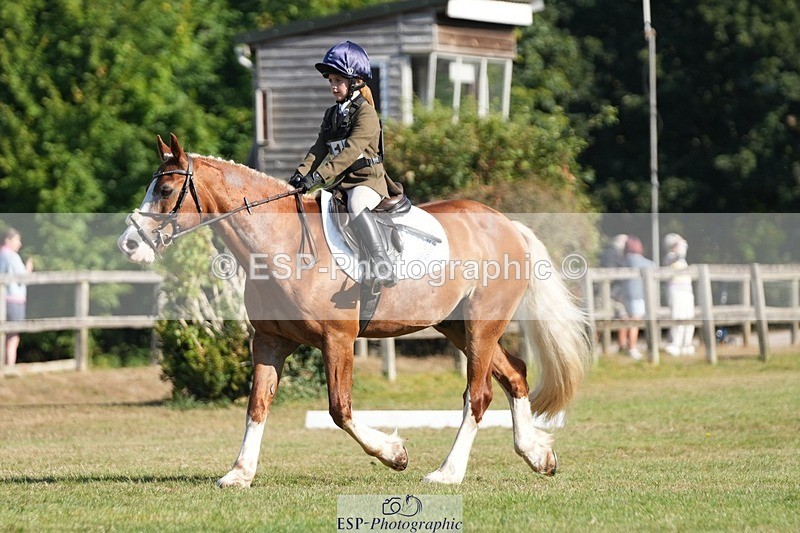 250823A-092443-25665 - Arena A