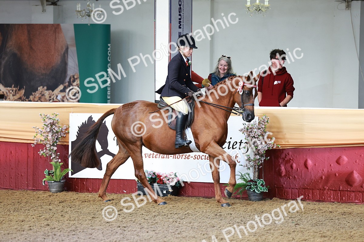 SBM_11899 - Class 102 - Equitation (Best Rider) Adult