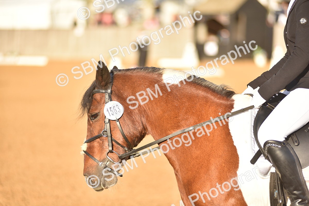 SBM_53398 - D24 - Junior Championship Prelim 3