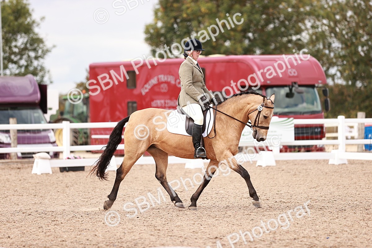 SBM_06335 - Class 37 - Novice 5