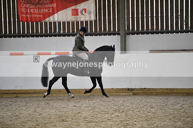 WJ5_7812 - Class 13 Ridden Part Breed