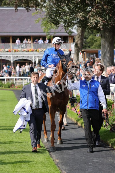 yr18082021r3-92 - Race 3 3.00pm Sky Bet Great Voltigeur Stakes