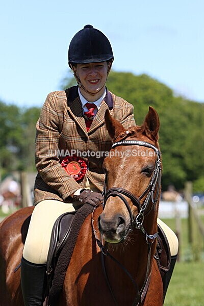 IMG_3927 - Working Hunter