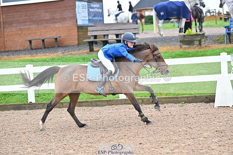 240908A-111308-03282 - Cls 18 A&B Pony Brit Nov & 80 Opern