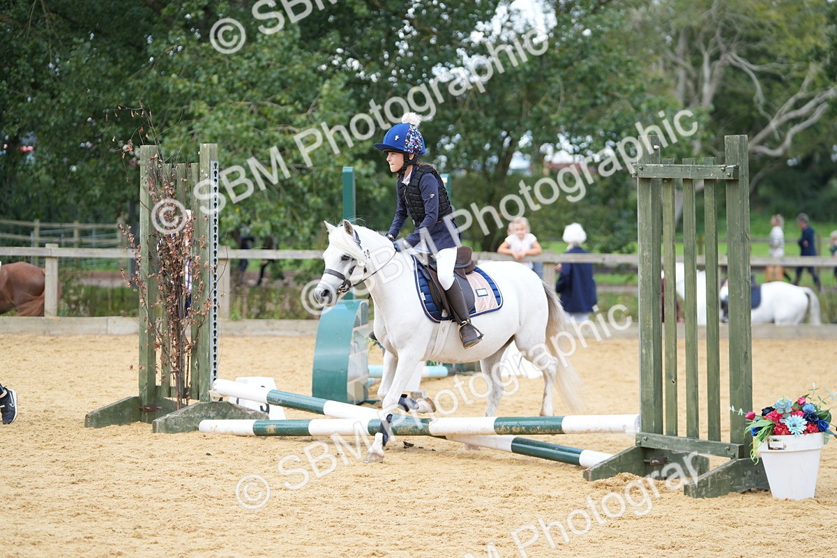 SBM_64369 - J2 - Mini Tour Junior Pony 30cm Championship