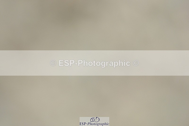 230630A-145446-03080 - Cls 13+14+18 Adv Medium 91+98 &Music PSG