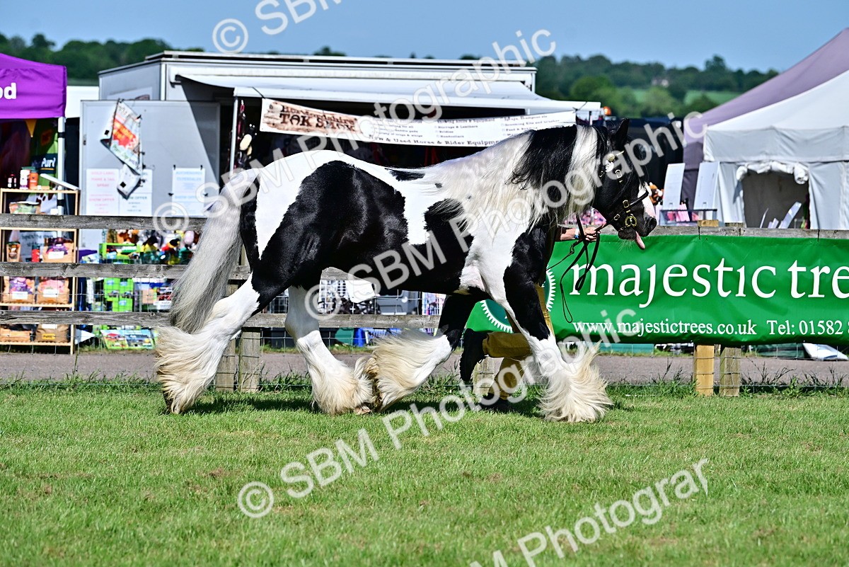 SBM_09466