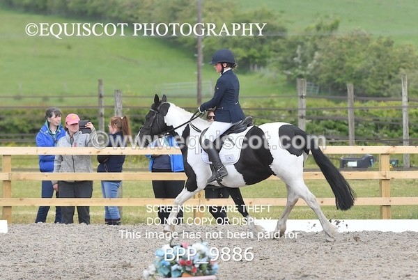BPP_9886 - SHORT ARENA  MY QUEST PRELIM