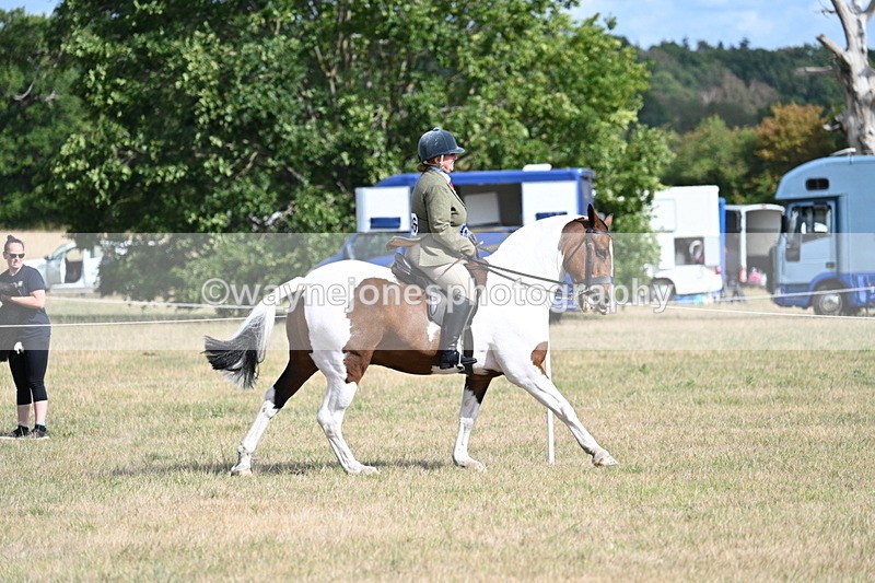 WJ7_7453 - Class 14 Ridden Coloured