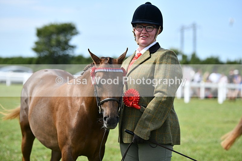 DSC_8410 - Class 68: Part Bred In Hand M & M