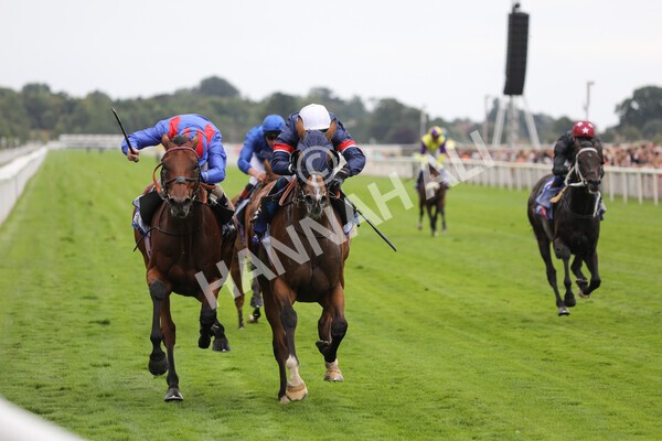 yr23072022r3-29 - Race 3 3.15pm Sky Bet York Stakes