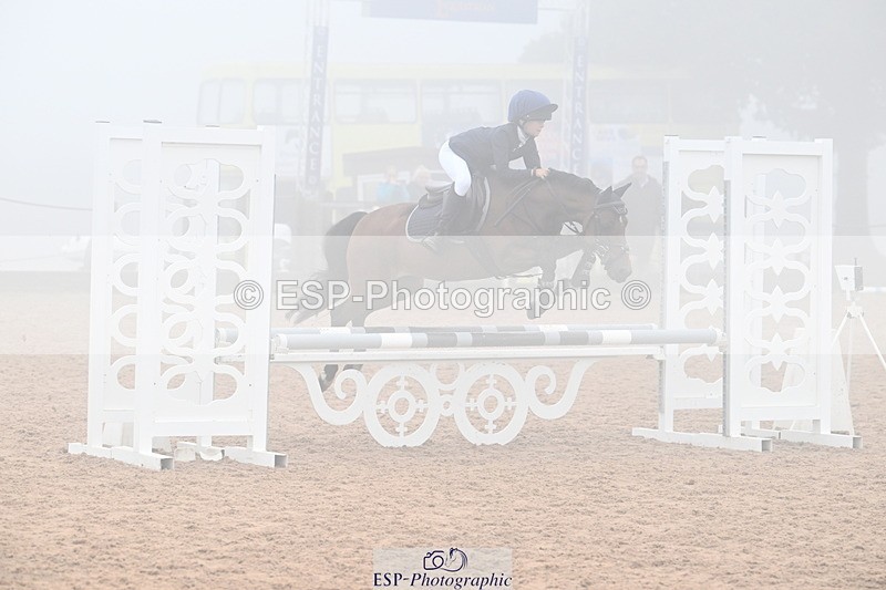 240907A-100824-00717 - Cls 2 Pony Small Team 70cm & 80cm