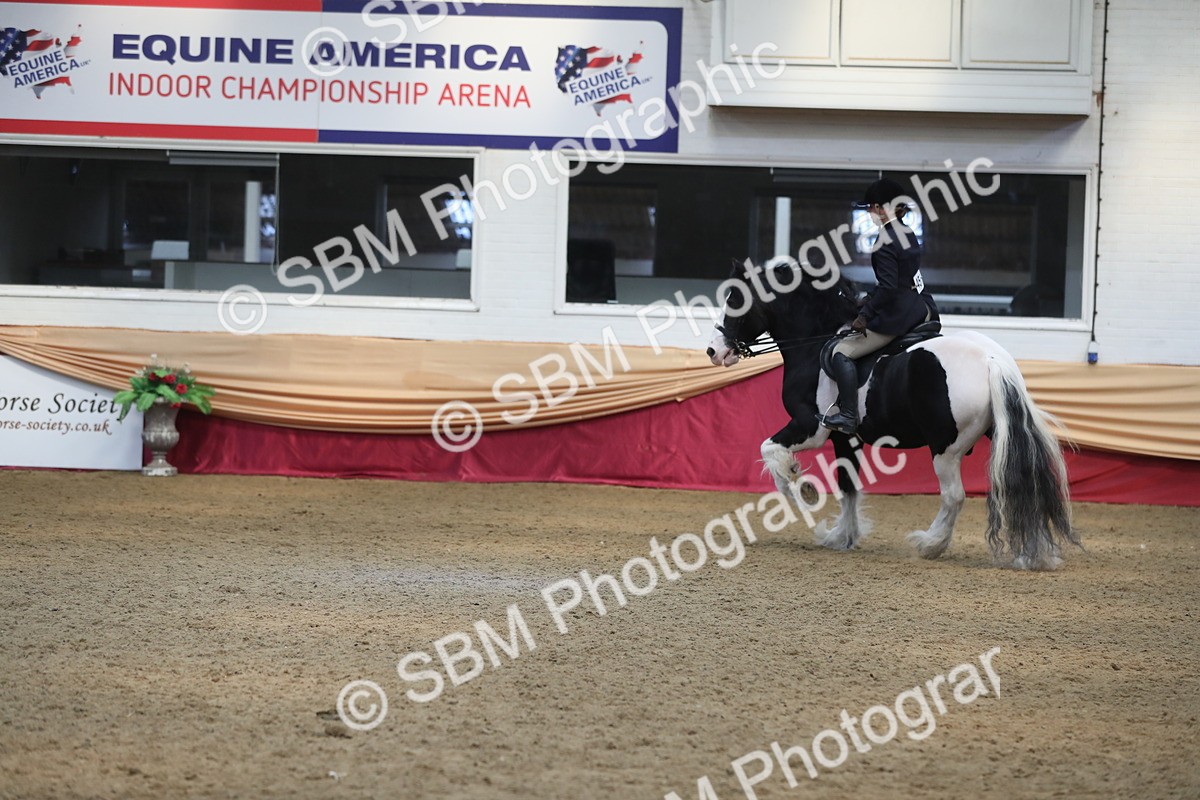 SBM_13658 - Class 109 Ridden Pairs - Section B