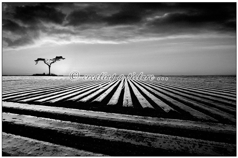 Furrowed Field - Landscapes