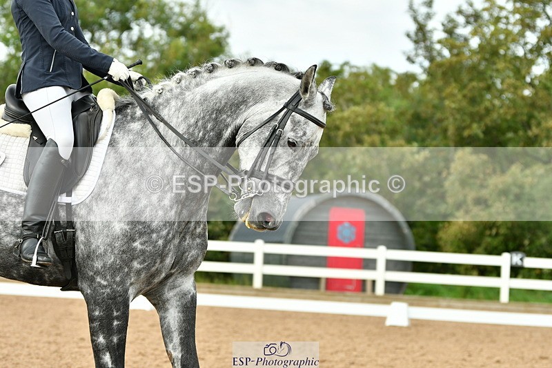 230912A-160841-01719 - Cls 14 Adv Medium 98