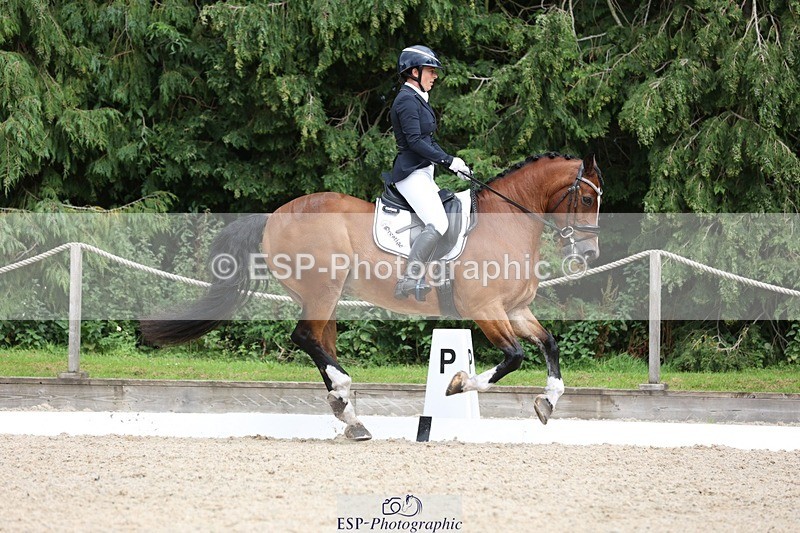 230812-151222-05074 - Cls 5 Novice Bronze 15.00 to End