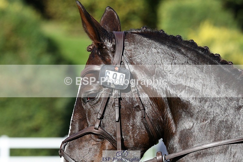 231022-112232-25120 - 690-JAZZ.QUARTET-Louise.Turner-smith-TrotUp+SJ