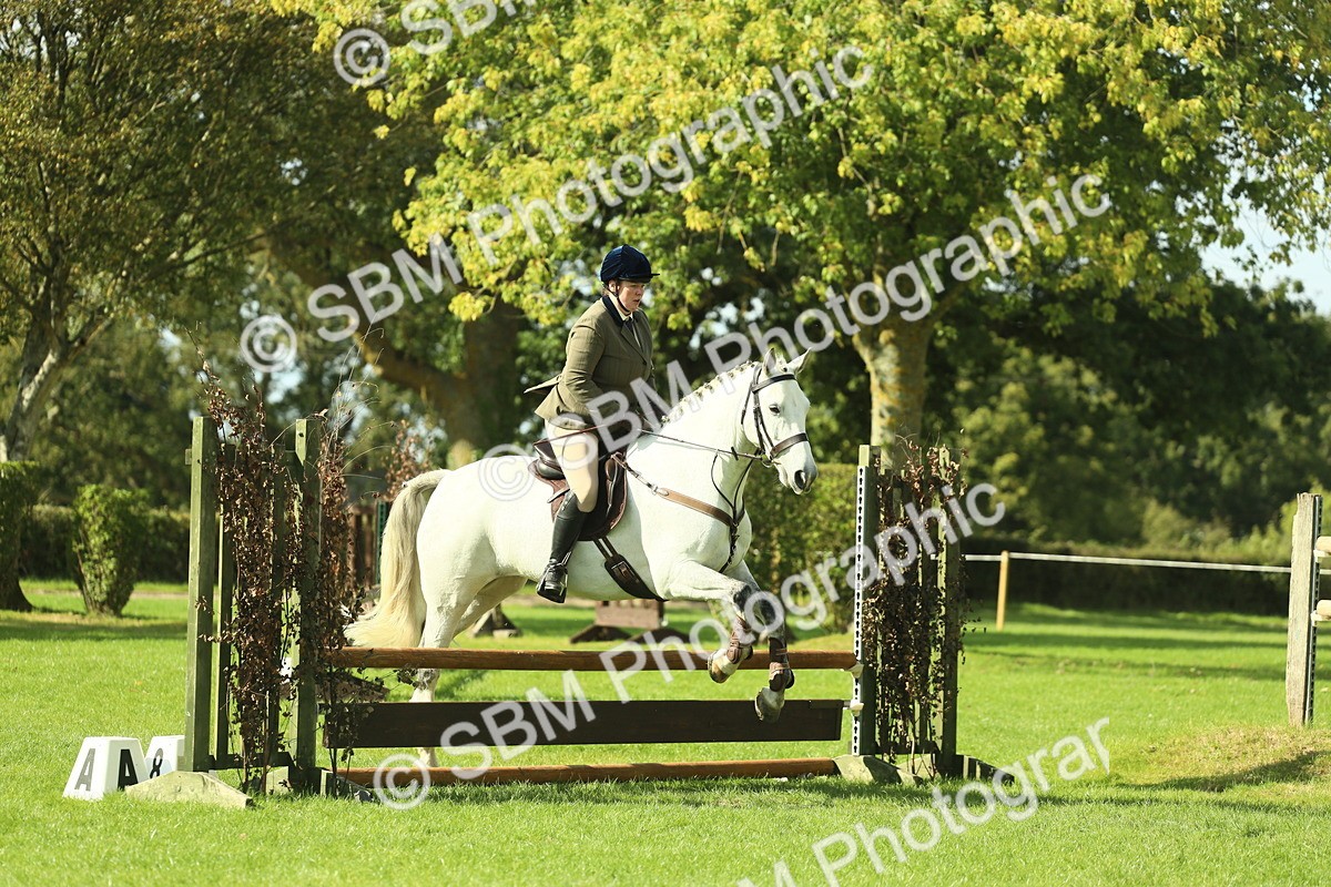 SBM_48062 - S32 - Novice & Newcomers Working Hunter