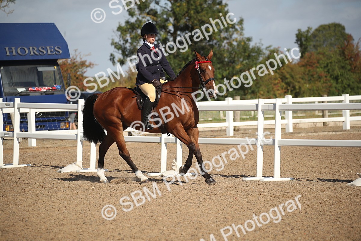 SBM_22785 - Class 602 - 2026 Area - Ridden Veteran