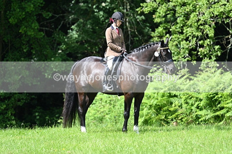 WJ7_1239 - Class 11 Condition & Turnout