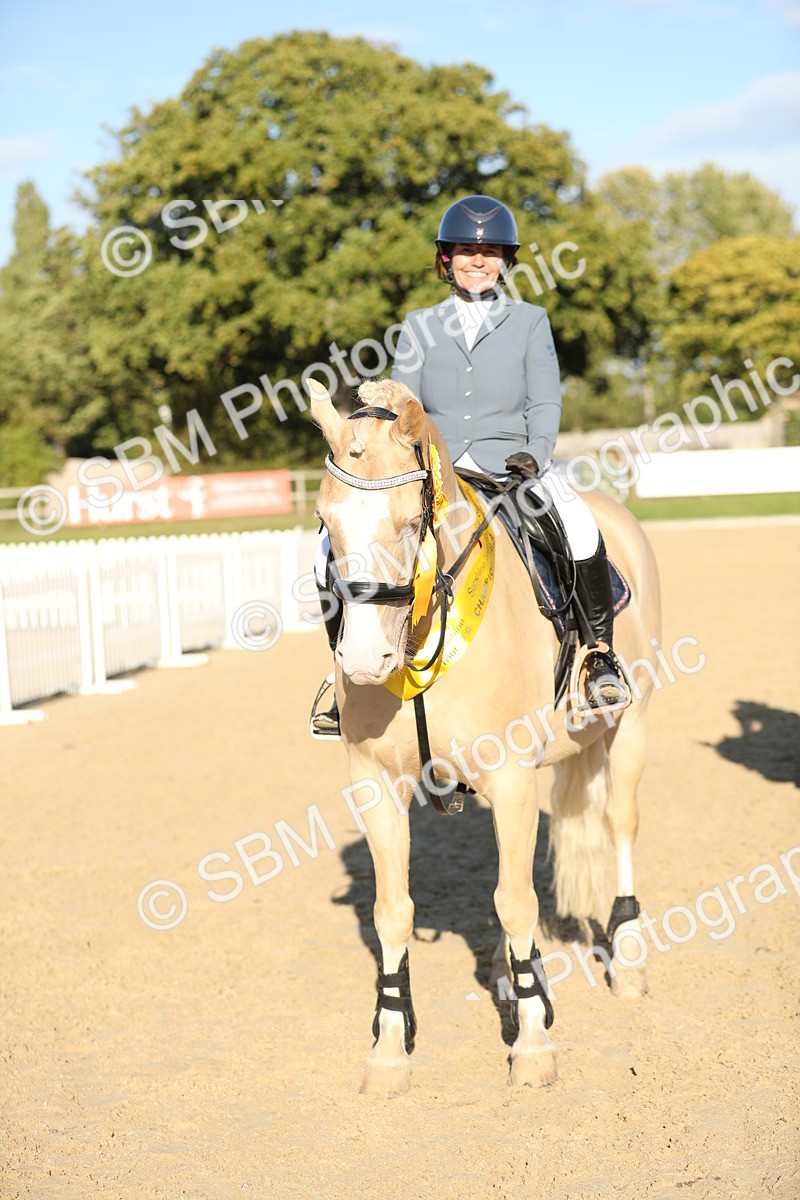 SBM_11493 - J37 - Veteran Rider 75cm