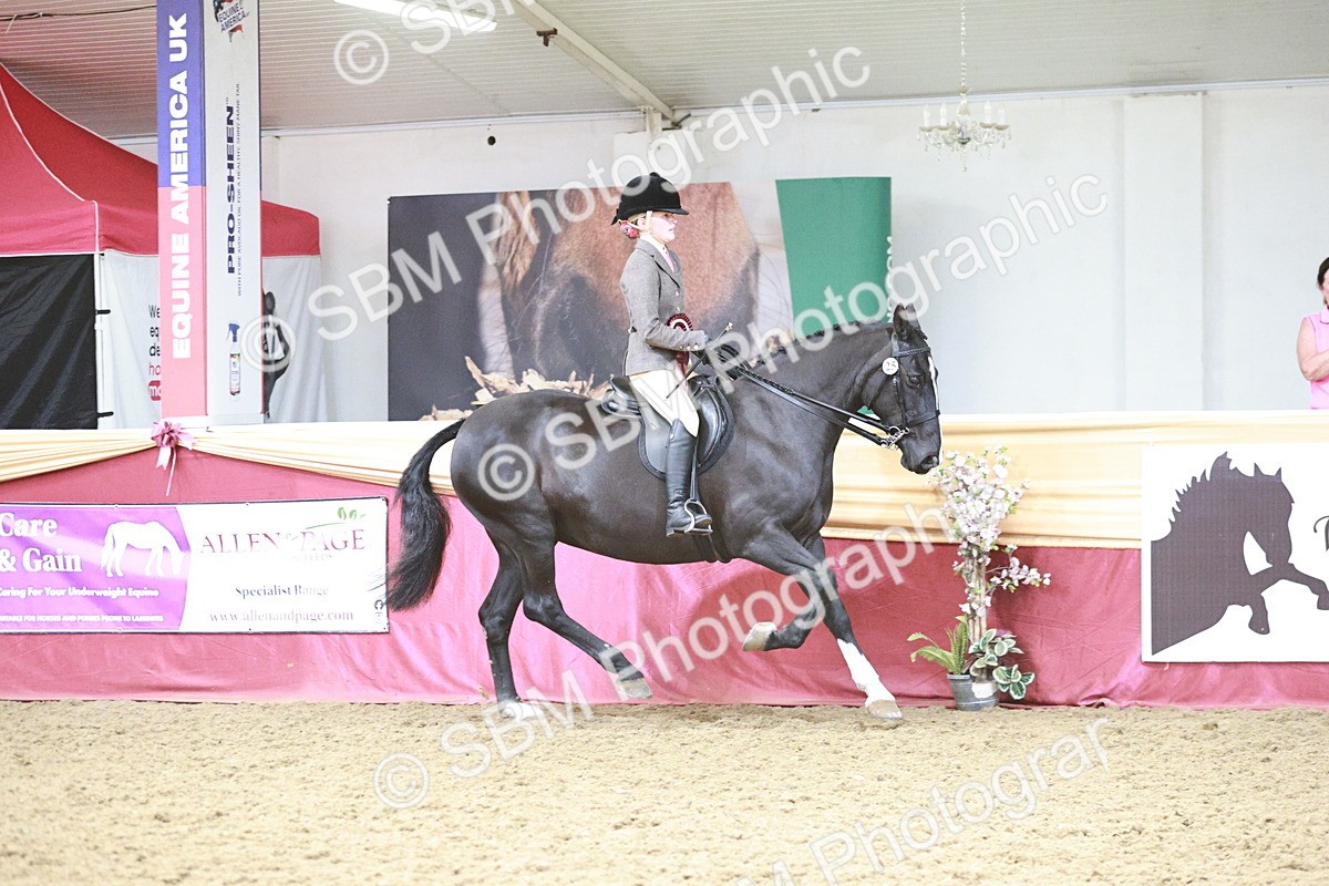 SBM_08660 - Regional Ridden Champ