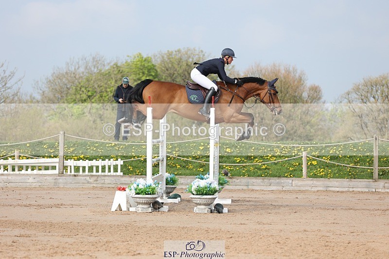 250424-102421-02994 - Cls 33 Young Horse 7yr old