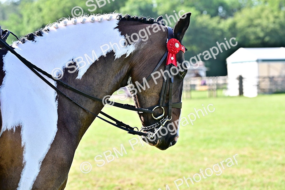 SBM_11664 - Class 93-94 - BSPA RIHS Ridden