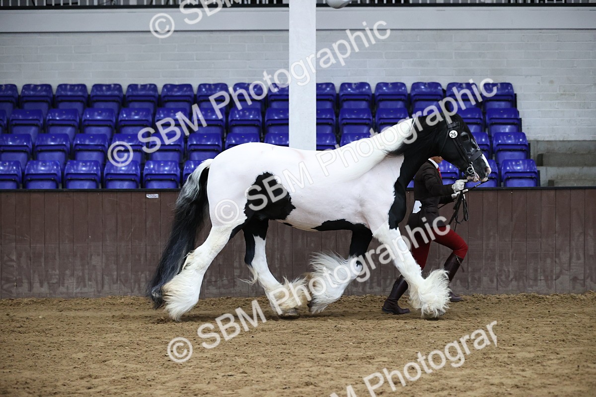 SBM_5624 - Class 40 - RESS In Hand Qualifier