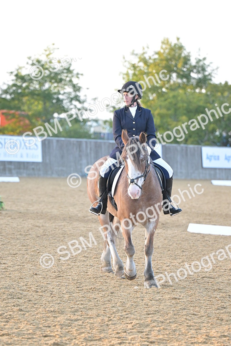 SBM_13539 - D3 - Small Tour Championship Intro 3