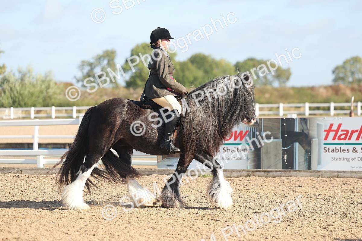 SBM_22267 - Class 802 - Ridden Groom Helpers Class