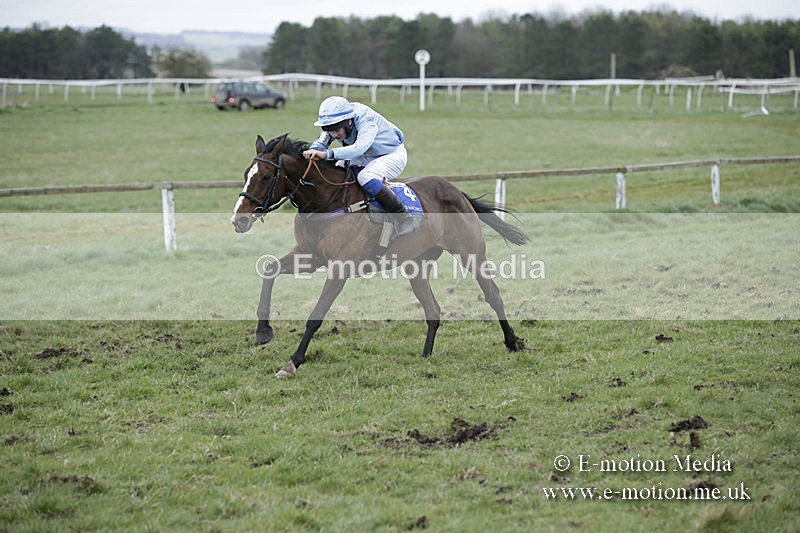 PtP 150320 0897 - New Forest Point-to-Point Larkhill 15/03/20