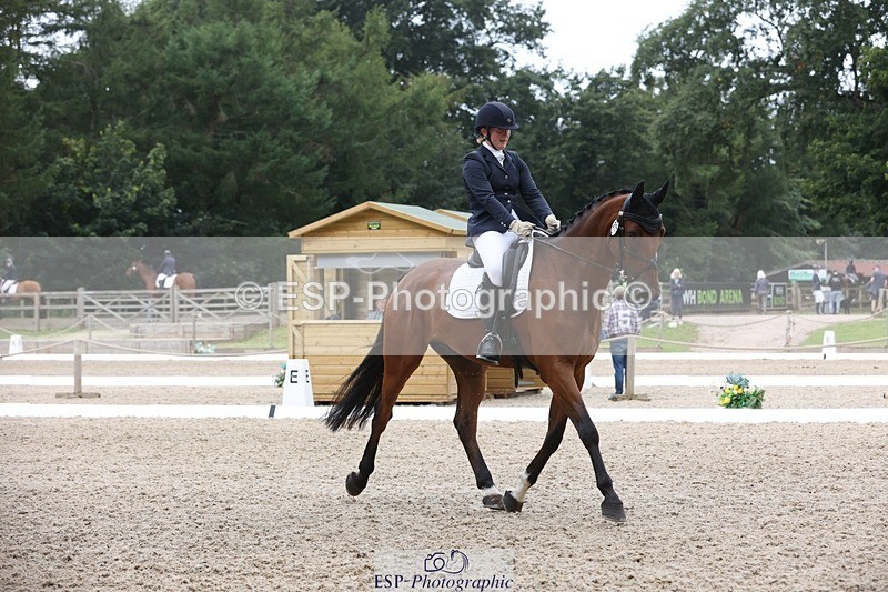 230812-115125-03882 - Cls 5 Novice Bronze 11.15 to 12.50 break