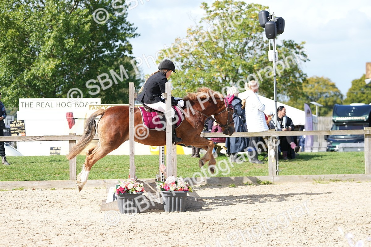 SBM_18006 - J58 - Clear Round 50cm