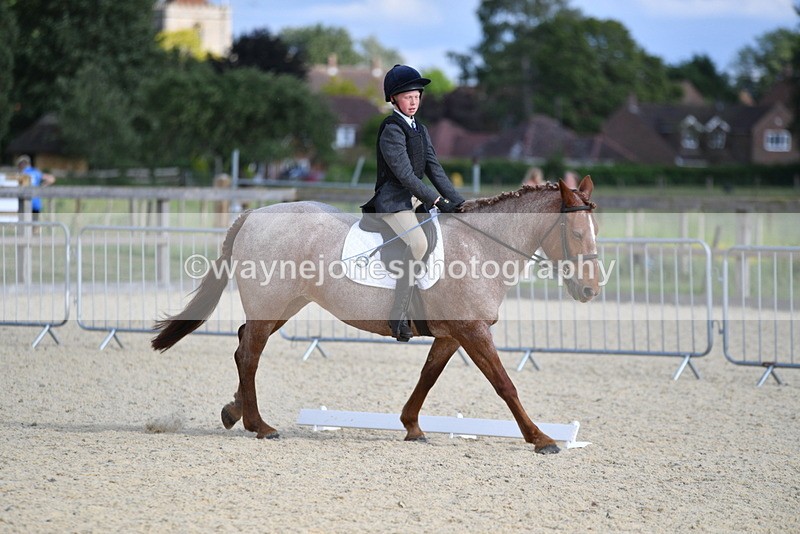 WJ5_8026 - Time 16:56 to 17:14