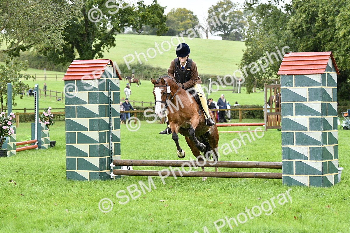 SBM_35445 - S30 - Nursery Stakes Working Hunter Pony