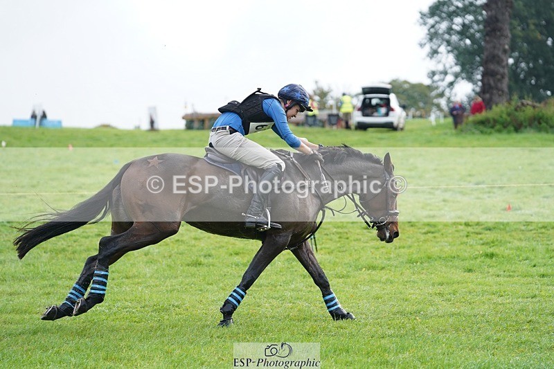 231021-094646-13372 - 609-WHAT.A.WONDER-Harry.Robinson-SC+XC