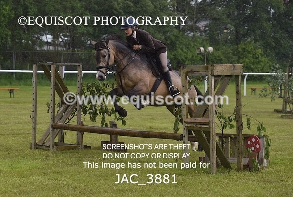 JAC_3881 - 55cm WORKING HUNTER