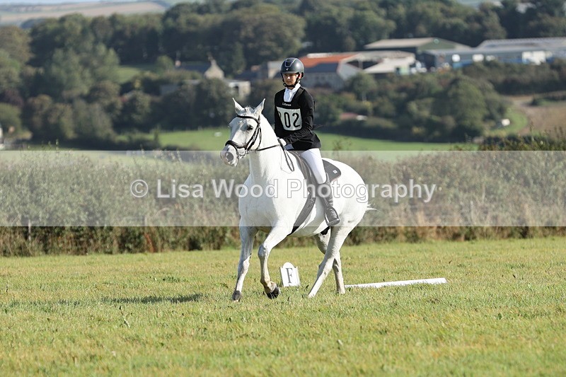 JPP_7857 - Class 2A: Trekenning Open: Dressage