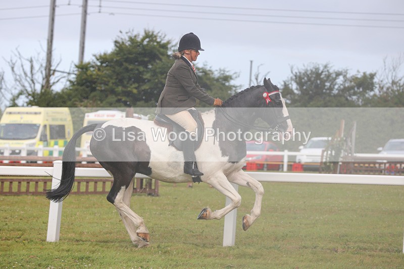 1X9A3041 - Class 26: Ridden Plaited Coloured Pony